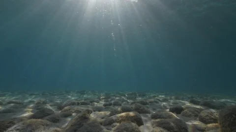 Rocks at the seabed flooded by the sun‘s rays, Tropea, Mediterranean sea, Italy Stock Footage 110257634
