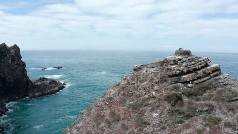 Rocks with seagulls and storks nests Stock Footage 132463465