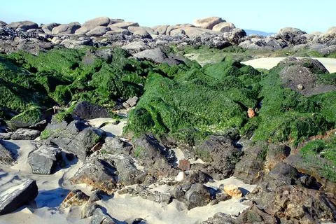 Rocks on the seashore on the beach Stock Photos