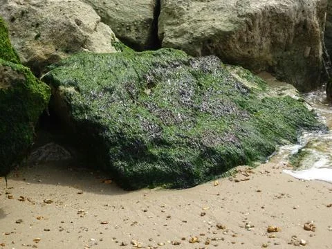 Rocks At The Seashore Stock Photos