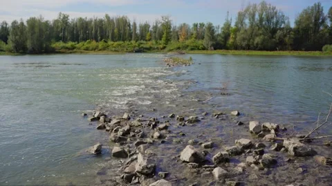 Rocks in a shallow river with fast-flowing water above them Stock Footage 263135588