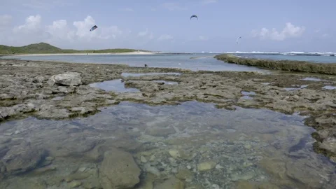 Rocks in shallow water Stock-Footage 74907122