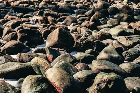 Rocks on shore with texture. 스톡 사진