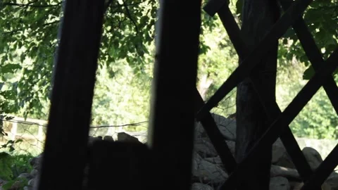 Rocks slider shot Stock Footage 142746329