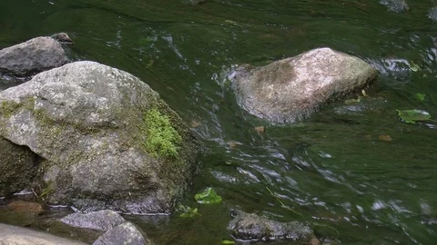Rocks in a small stream Stock Footage 86357189