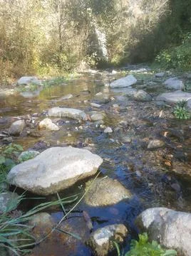 Rocks in Small Stream of Water Stock Photos
