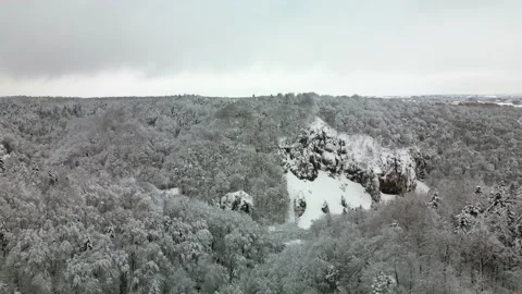 Rocks in a snowy forest Stock-Footage 231261795