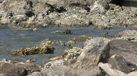 Rocks &amp; Stones On A Beach Stock Footage 312458