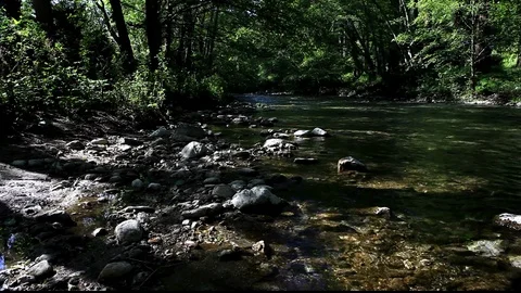 Rocks In Stream Big Sur 2 Stock Footage 104614090