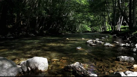 Rocks In Stream Big Sur Stock Footage 104611668