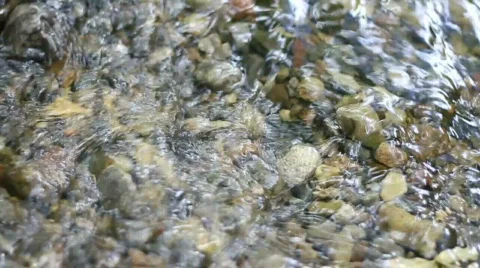 Rocks in Stream HD Video stock 841205