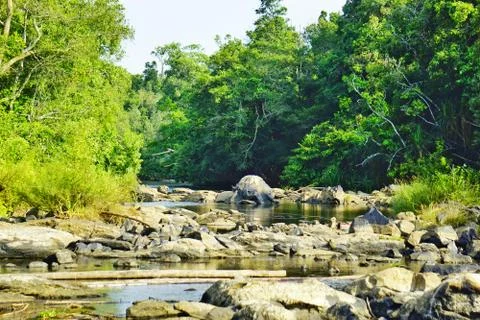  rocks in a stream at kuruwa island " kuruva dweep " Stock Photos