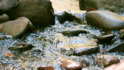 Rocks in a Stream : Pan Stock Footage 77409414