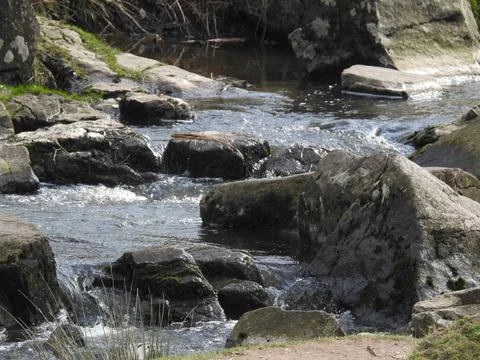Rocks in stream Stock Photos