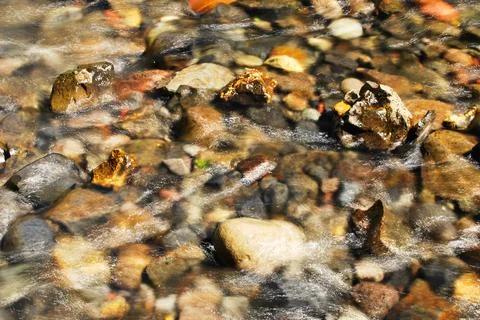 Rocks in a stream with reflections Stock Photos