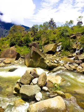 Rocks in a stream in summer 库存照片