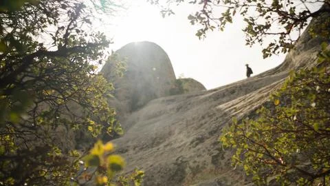 Rocks through brush Foto stock