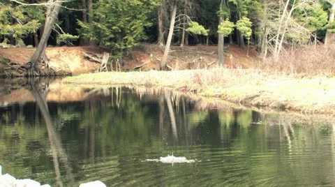 Rocks thrown into Stream Video stock 11126235