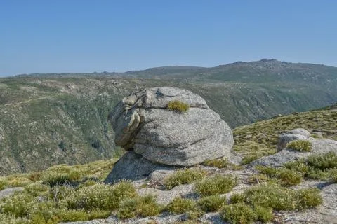 Rocks on top at the mountains Stock Photos