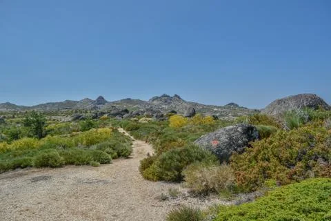 Rocks on top at the mountains Stock Photos