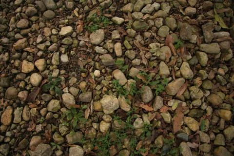Rocks from top Stock Photos