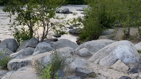 Rocks, trees, and bridge at Boise River in Boise, Idaho, USA Vídeos de archivo 133547760