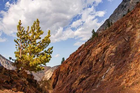 Rocks, trees and plants in mountain landscape Stock Photos