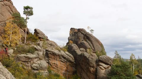 Rocks with trees growing on them. Video stock 310492326