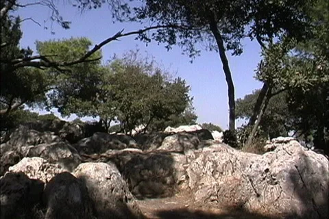 Rocks &amp; trees Israel Video stock 466683