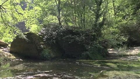 Rocks trees nature stream river nature day sunlight algae Foradada stagnant  Stock Footage 329768764