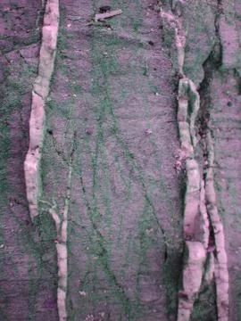 Rocks tripped abstract background wallpaper Stock Photos