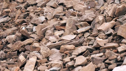 Rocks in tropical forest Video stock 98208195