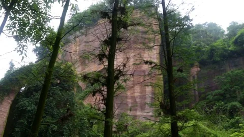 Rocks in a tropical park 스톡 동영상 74064030
