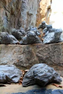 Rocks turtle 001 Stock Photos