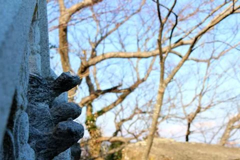 Rocks turtle 003 Stock Photos