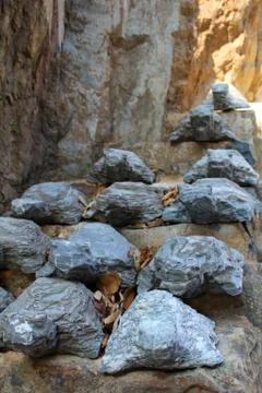 Rocks turtle 004 Stock Photos