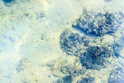 Rocks under the sea Stock Photos