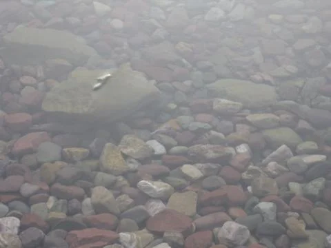 Rocks under the water Stock Photos