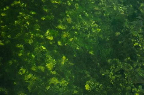 Rocks under water Stock Photos