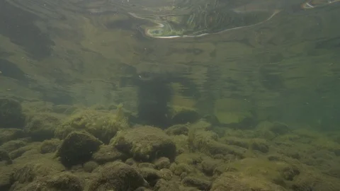 Rocks under the water's surface, Albano lake, Italy Stock Footage 107733064