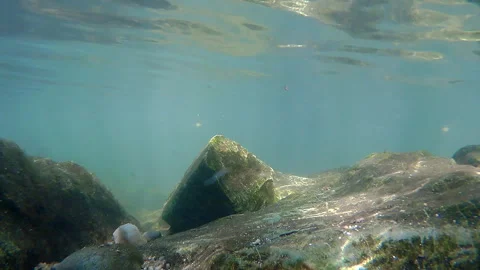 Rocks underwater in the river bed with clear fresh w Video stock 250605575
