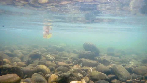 Rocks underwater in the river bed with clear fresh Vidéo 251654941