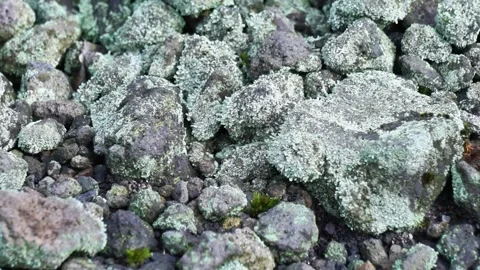 Rocks of various sizes on the edge of a volcanic crater. Stock Footage 313007011