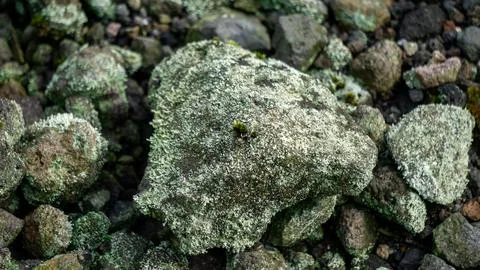 Rocks of various sizes on the edge of a volcanic crater. Stock Photos