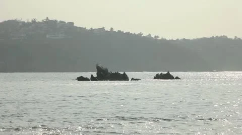 Rocks in the water Stock Footage 11019216