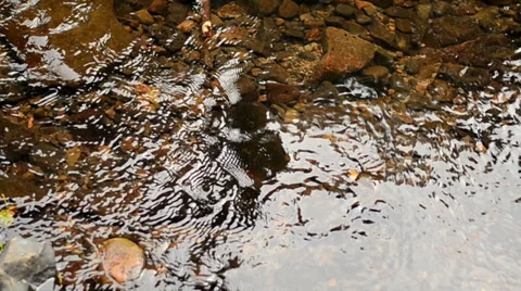 Rocks &amp; Water Video stock 27313858