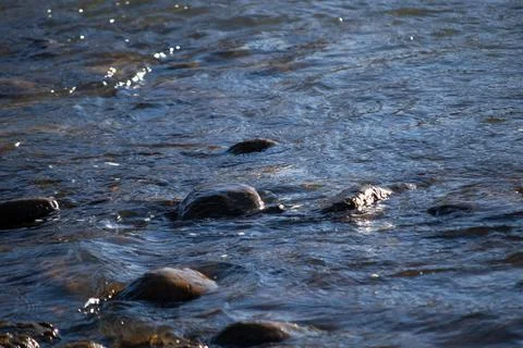 Rocks in the Water Stock Photos
