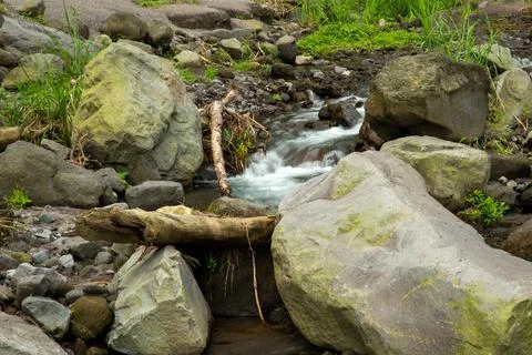 Rocks in the water stream of the river Stock Photos