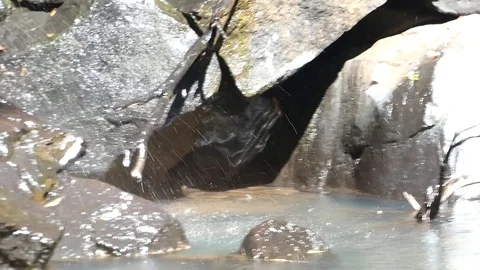 Rocks by the Waterfall Stock Footage 114745916