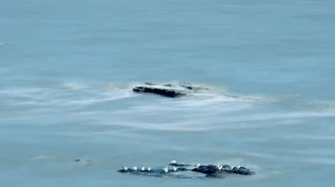 Rocks &amp; Waves Time lapse Stock Footage 7766417